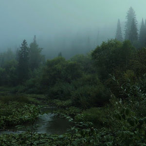 Meet your Posher, Mia